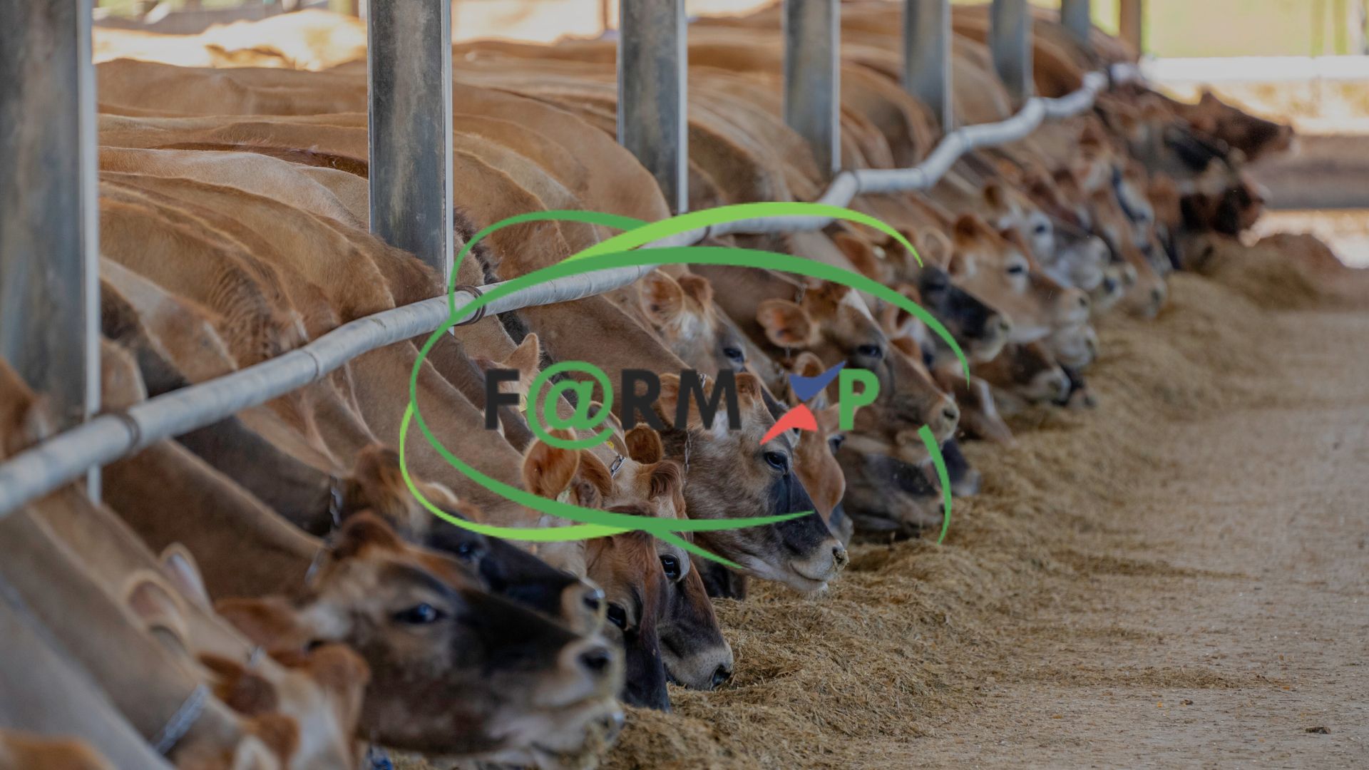 logo de Farm XP